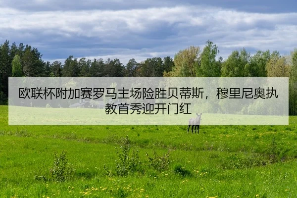 ou-lian-bei-fu-jia-sai-luo-ma-zhu-chang-xian-sheng-bei-di-si-mu-li-ni-ao-zhi-jiao-shou-xiu-ying-kai-men-hong-2-717.jpg