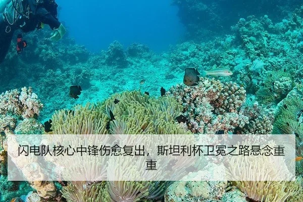 闪电队核心中锋伤愈复出，斯坦利杯卫冕之路悬念重重
